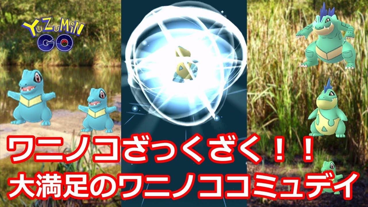 大満足のワニノココミュデイでハイドロカノンする秋田人【ポケモンGO】