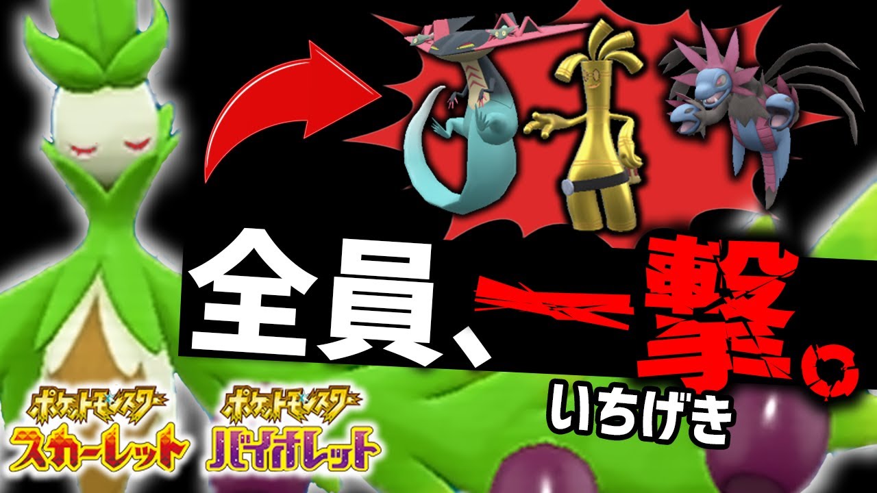 知らないと一瞬で崩壊する 『新・トリルの破壊神』オリーヴァ、ヤバい。【ポケモンSV】