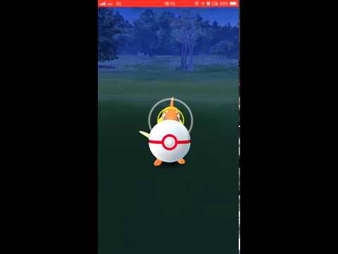 【Pokémon GO Excellent Throw】418 ブイゼル (Buizel)