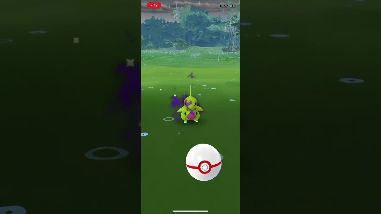 シャドウヨーギラス色違い