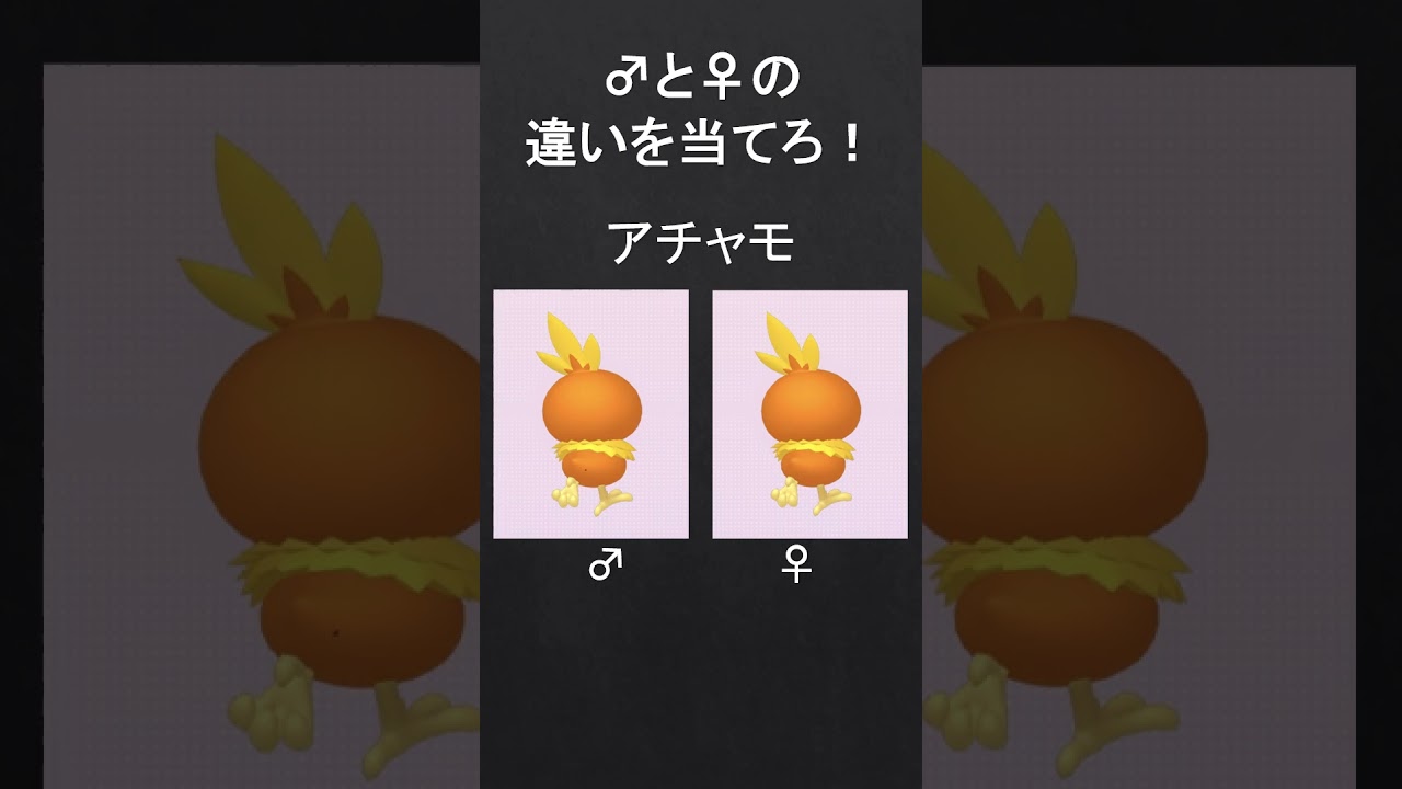 オスとメスでの見た目ポケモンクイズ！