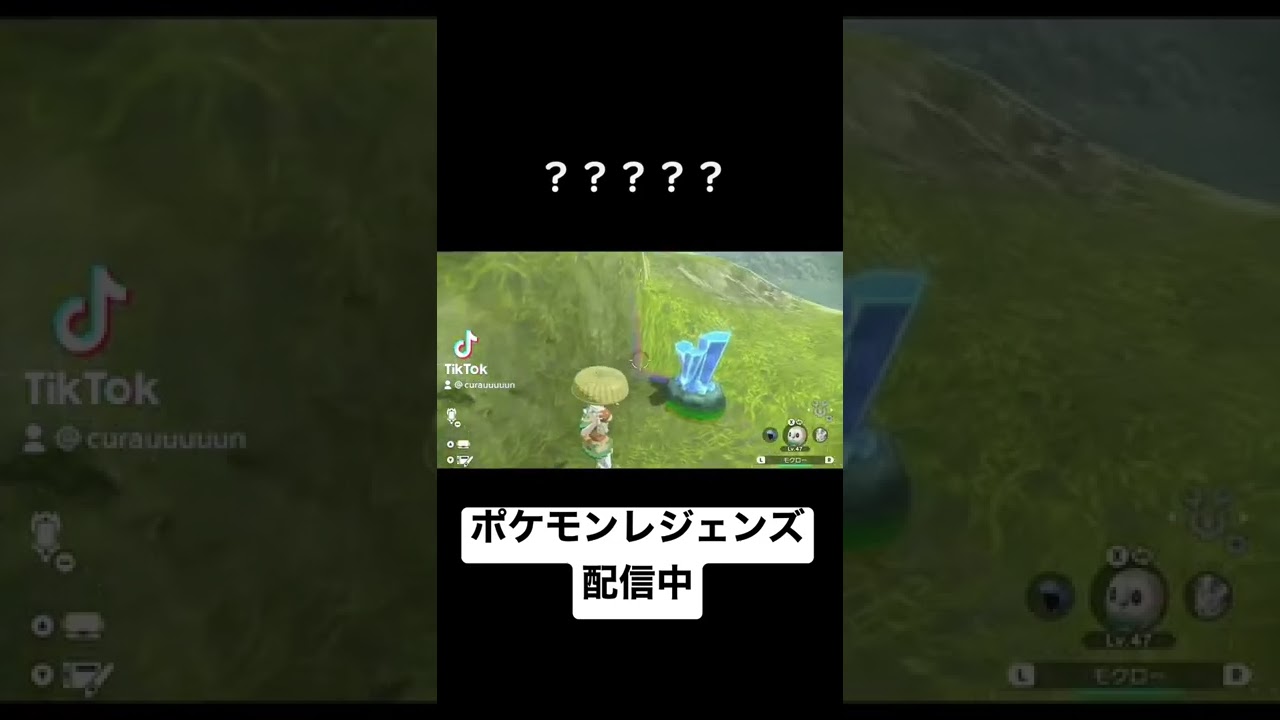 モクローとの出会い（手持ち）【ポケモンレジェンズ】