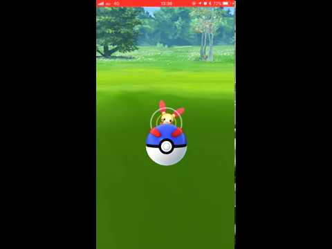 【Pokémon GO Excellent Throw】311 プラスル (Plusle)