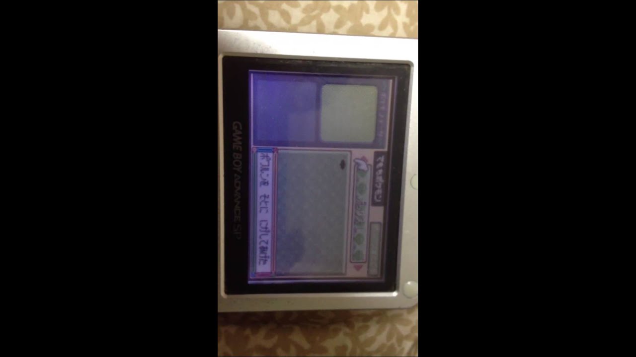 ケムッソは神