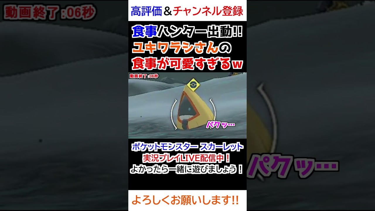 ユキワラシさんの「食事」が可愛すぎるww【Pokemon LEGENDS アルセウス】【食事ハンター】