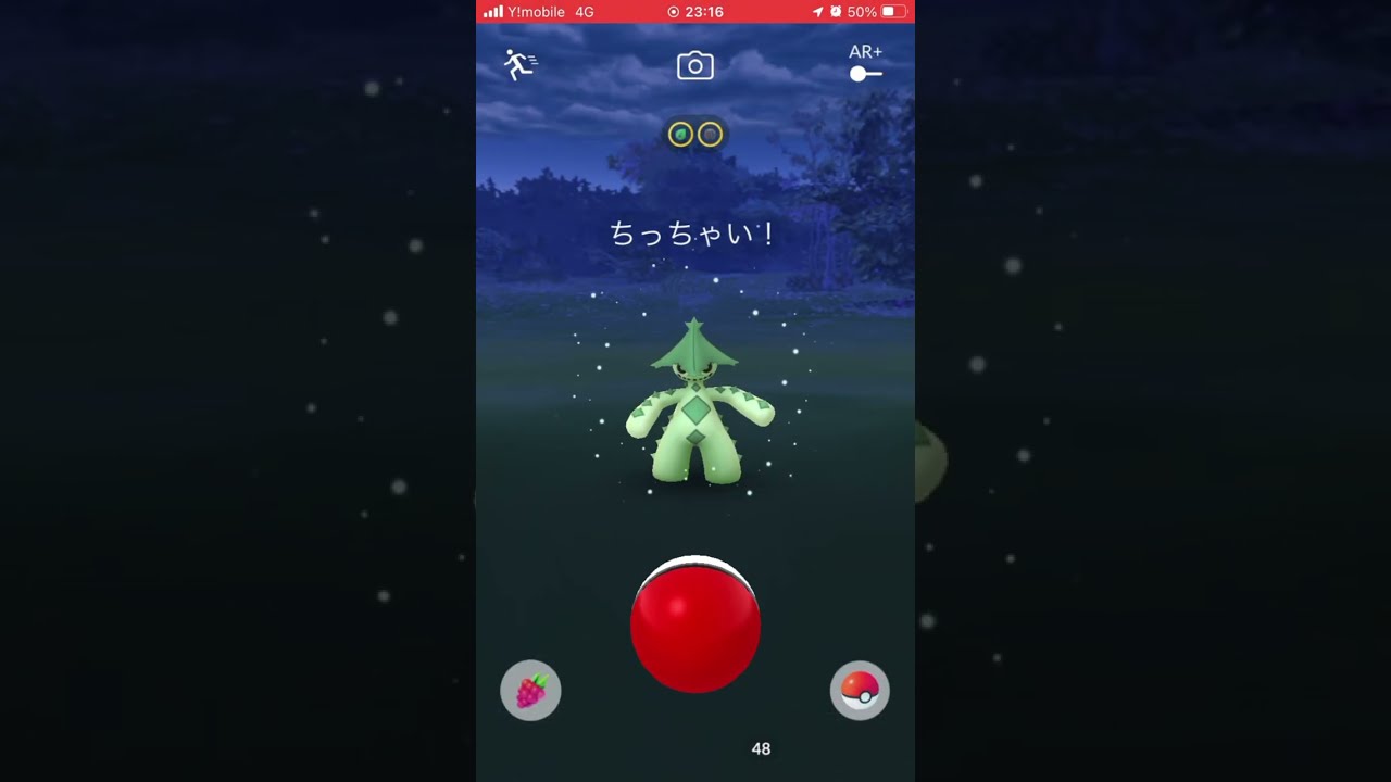 ポケモンGO ノクタス　Pokémon GO