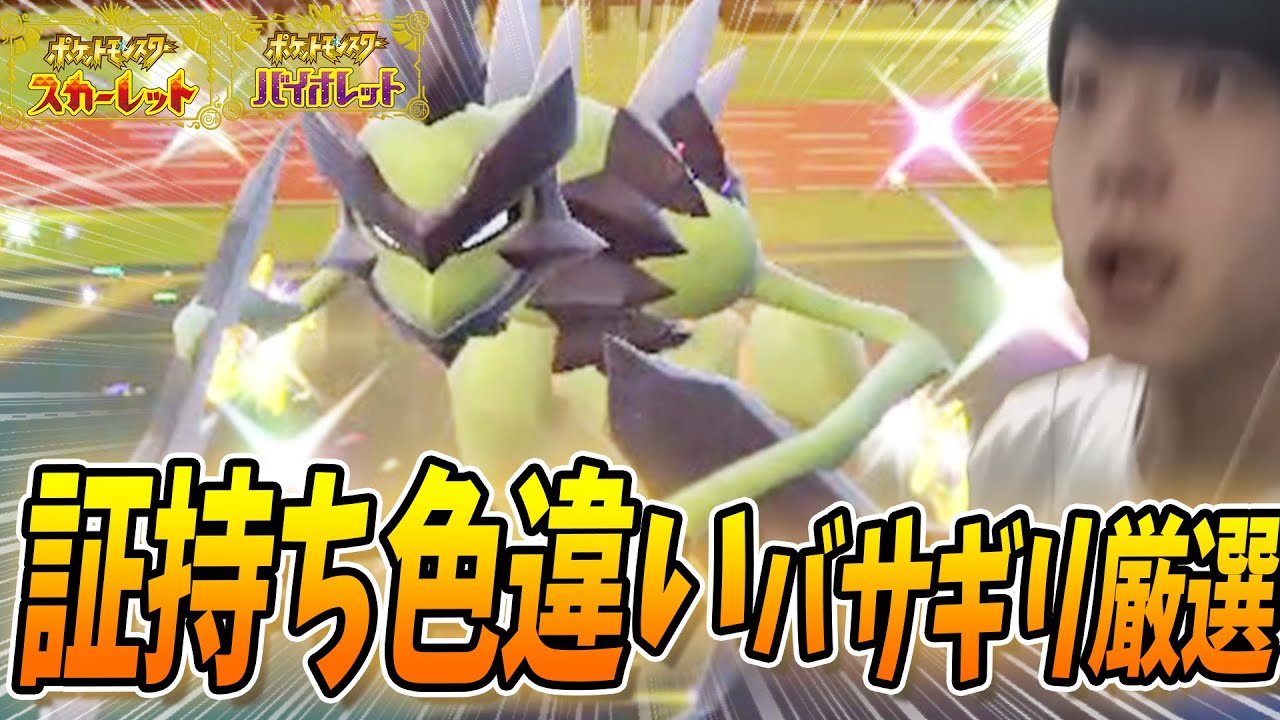 【ポケモンSV】証持ちの色違いバサギリが欲しい！ストライク色違い厳選！出来ればでかでか(最大サイズ)が欲しい！ #2　 しろーん 【ポケモンスカーレット/バイオレット】