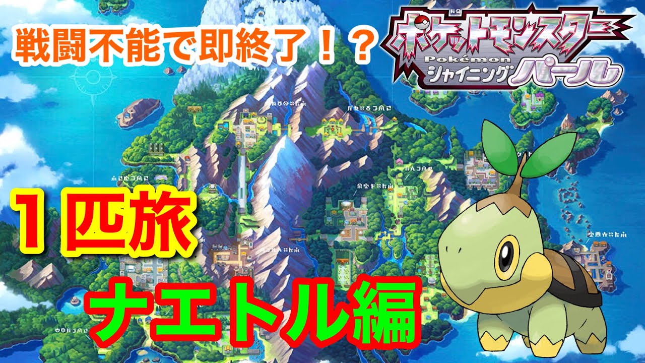 どこまで行けんの？BDSPポケモン一匹旅～ナエトル編～