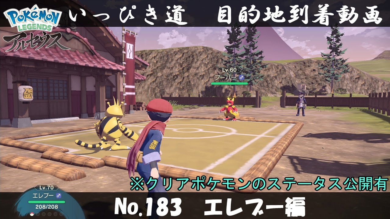 【いっぴき道攻略】No.183 エレブー編【Pokémon LEGENDS アルセウス】