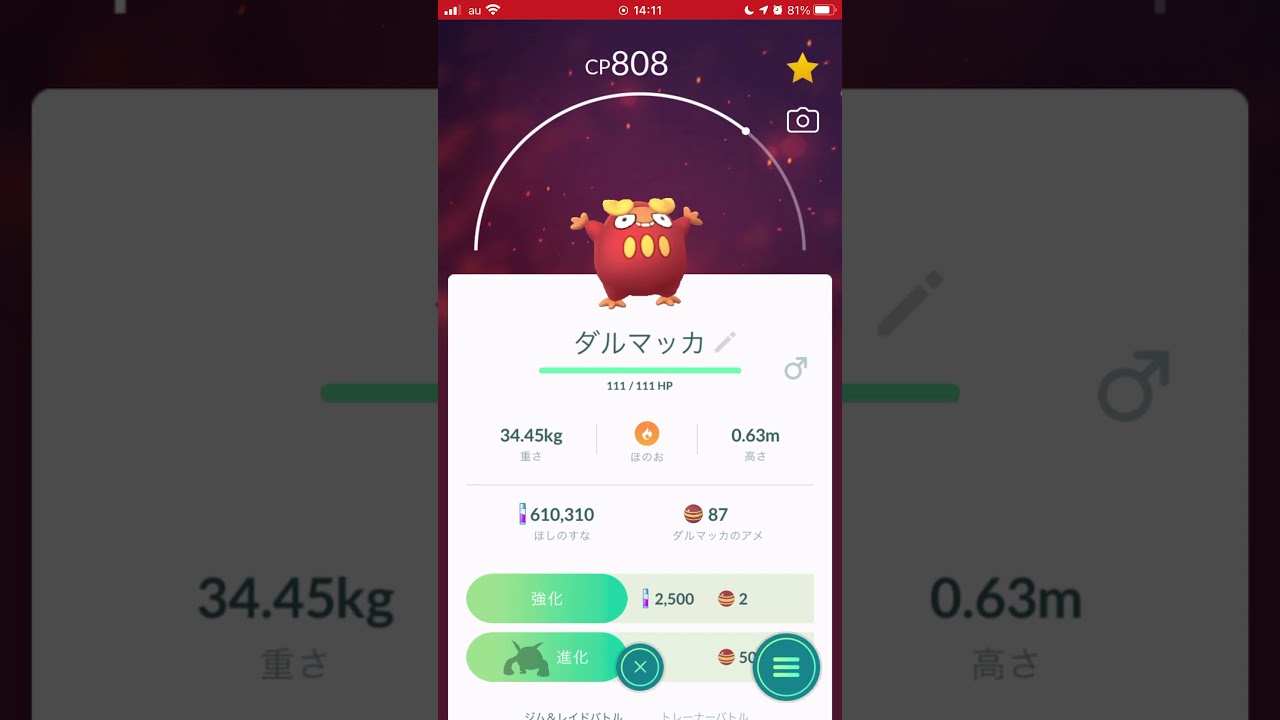 ［ポケモンGO］進化「ダルマッカ→ヒヒダルマ」