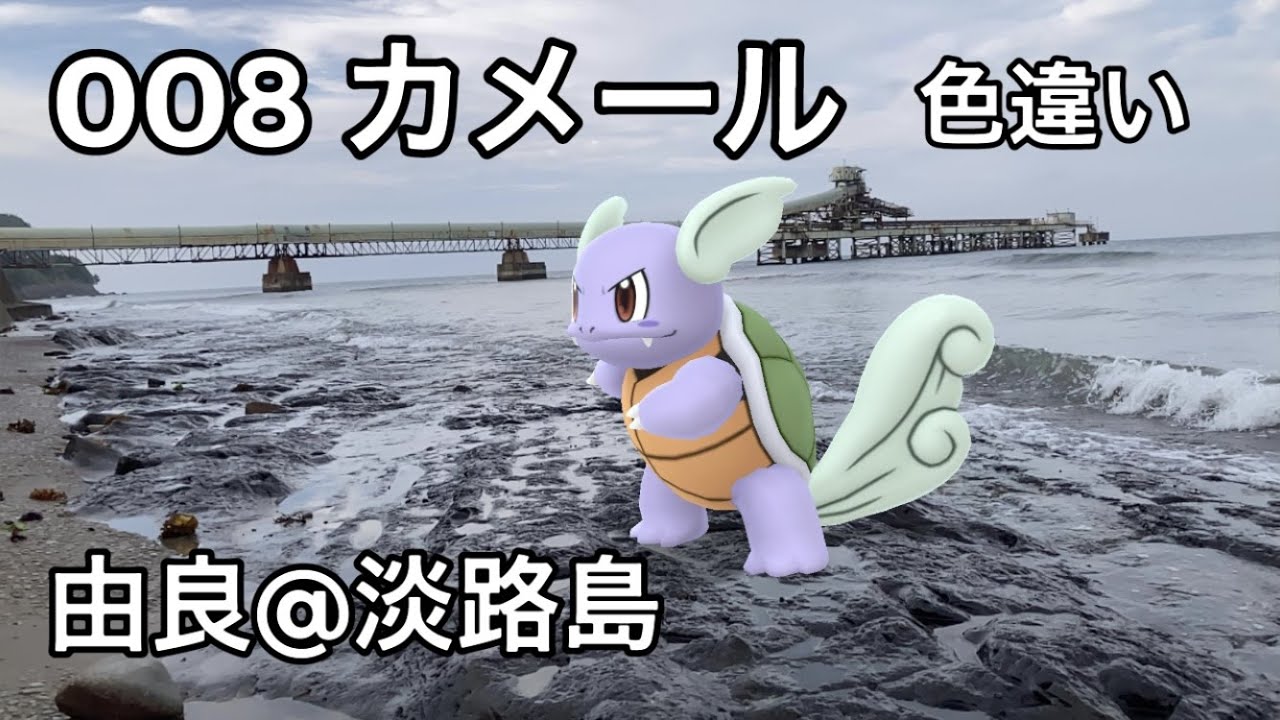【ポケGO動くポケモンずかん】008カメール｜Wartortle｜ShinyPokémon｜色違いカメール【ポケモンGO】PoKeMoN GO AR｜AR動画｜NianticAR｜淡路島｜由良