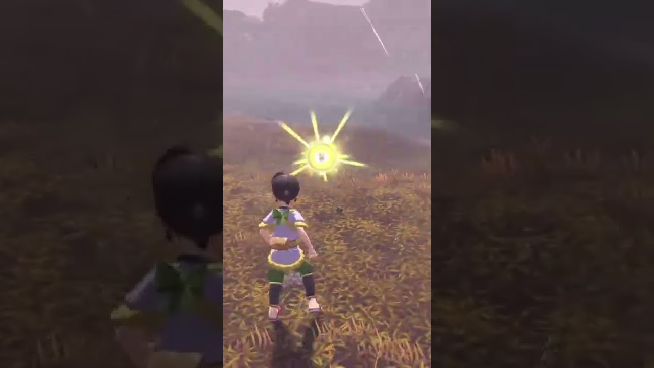 アクロバティックナエトル