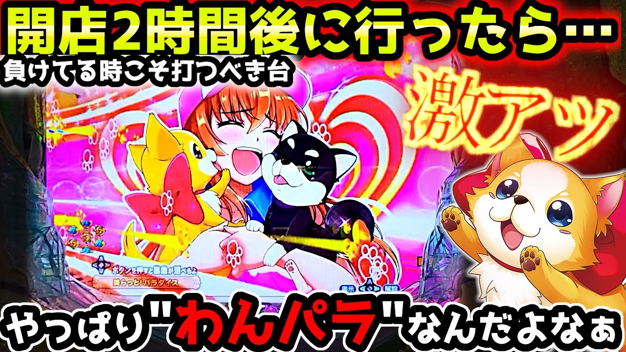 "激熱な展開"余り台に福がある？？【PAわんわんパラダイスV】《ぱちりす日記》甘デジ 海物語 ギンパラ わんパラ