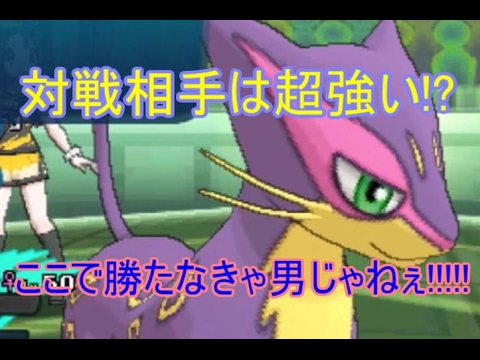 可愛いレパルダスは対戦でも活躍します　ポケモンSM  実況者大会【ぷんぷん杯】(3戦目グレフルさん)