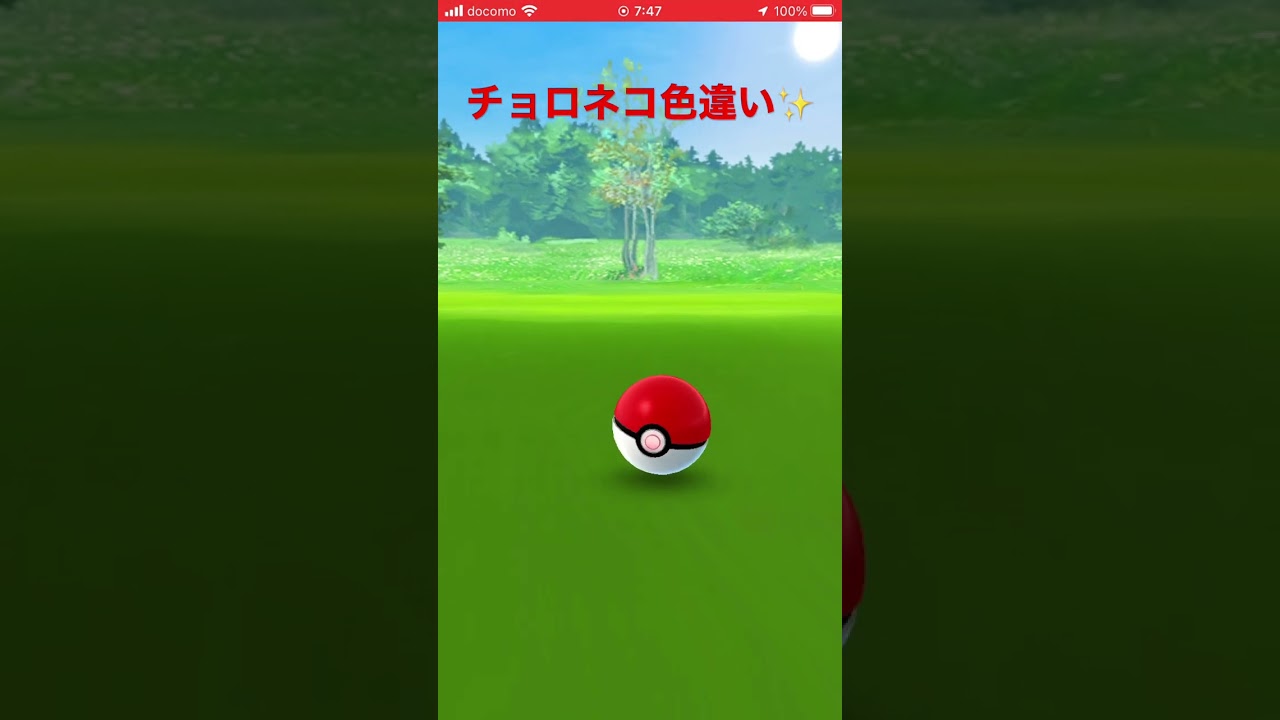 チョロネコ 色違い✨