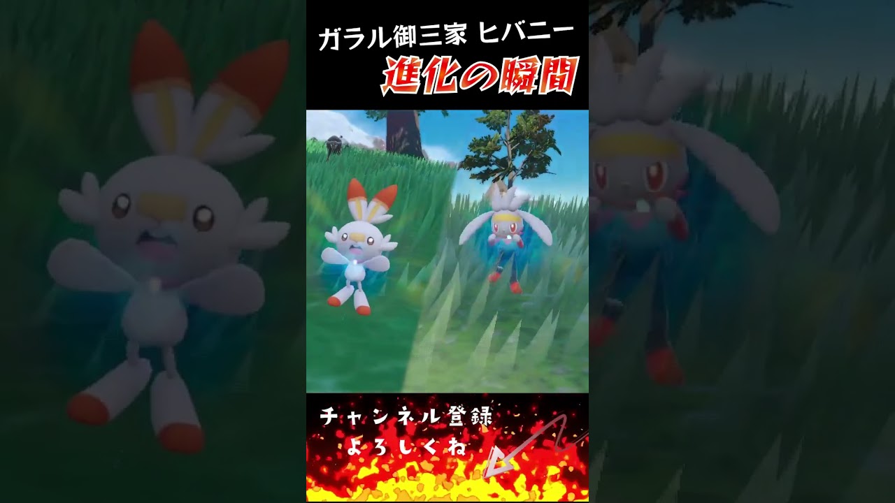 【バイオレット】ガラル御三家 進化の瞬間 #shorts 【ヒバニー編】