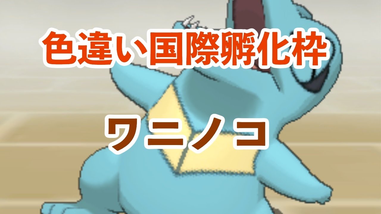 ワニノコ色違い国際孵化厳選！【PART4】