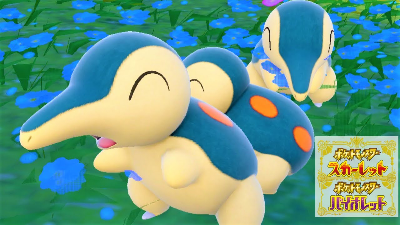 【可愛い】ヒノアラシ６匹に囲まれて癒されピクニック【ポケモンSV】