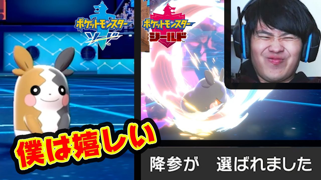 今日もモルペコが強くて僕は嬉しい。【ポケモン剣盾】