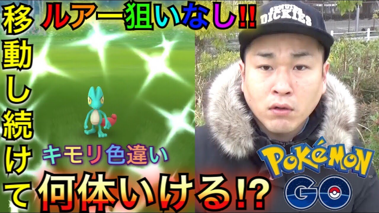 【ポケモンGO】色違い！キモリコミュデイ我々はこう楽しんだ【ジュカイン】