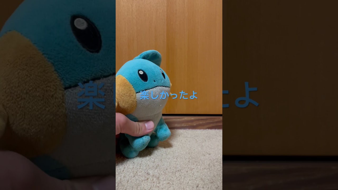 帰宅後1本目の動画 ミズゴロウ帰宅#shorts #ミズゴロウ #ピカチュウ