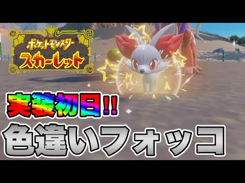 色違いのフォッコを出して発狂する男　【ポケモンSV】
