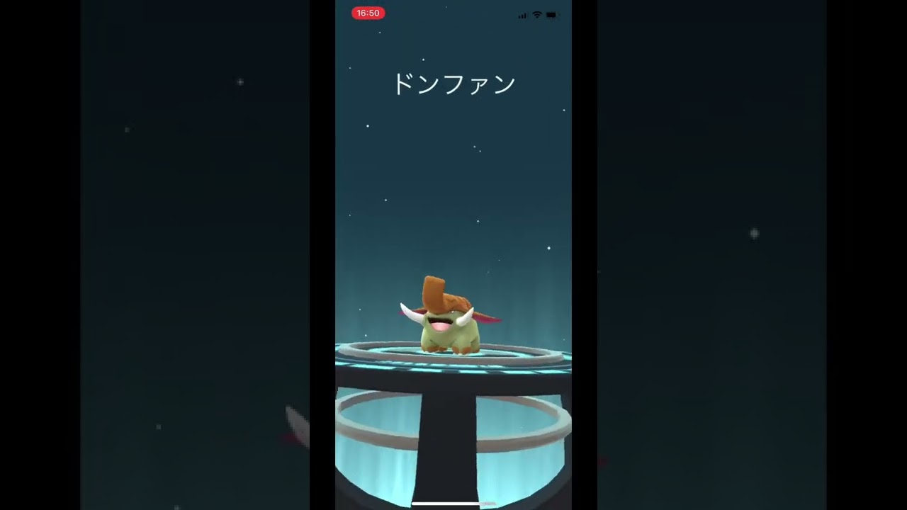 ポケモンgo☆色違いゴマゾウ〜ドンファンへ進化！#shorts #いろち #かわいい