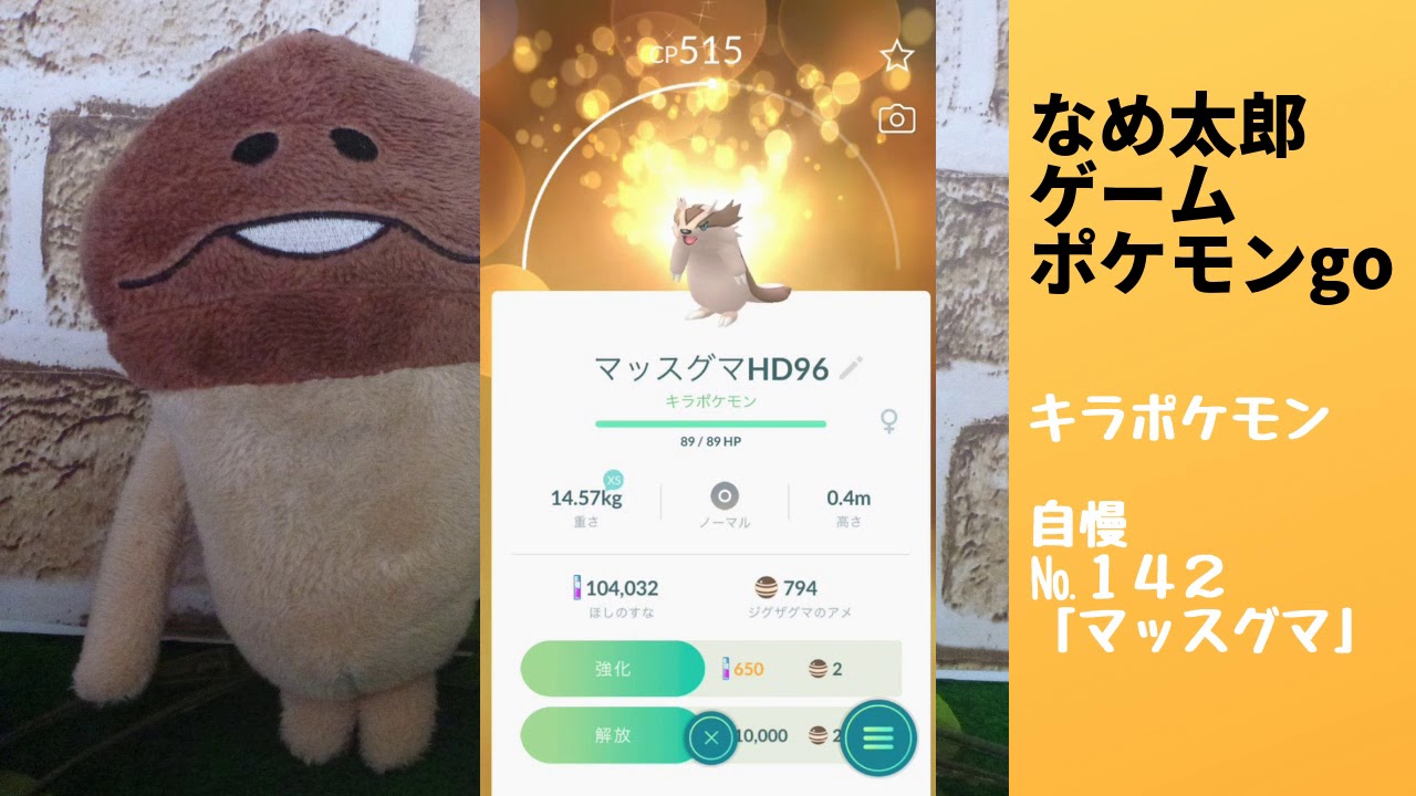 なめ太郎のキラポケモン自慢コーナーナンバー１４２、「マッスグマ」【ポケモンgo】
