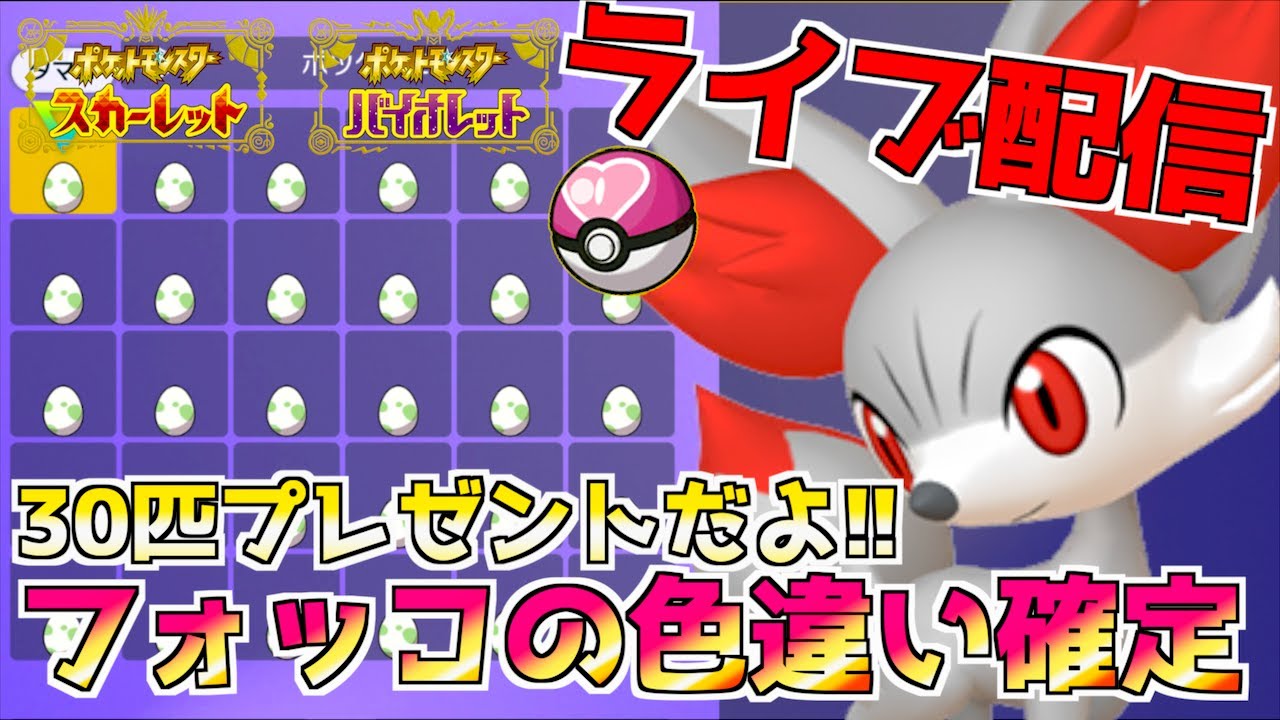 ラブボの色違いフォッコ３０匹限定でタマゴ配布 ライブ配信【 ポケモンSV 】