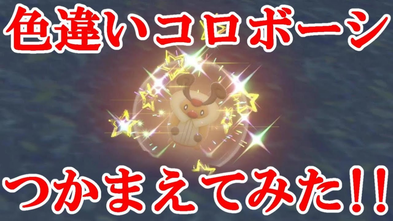 【ポケモンSV】色違いコロボーシつかまえてみた！！