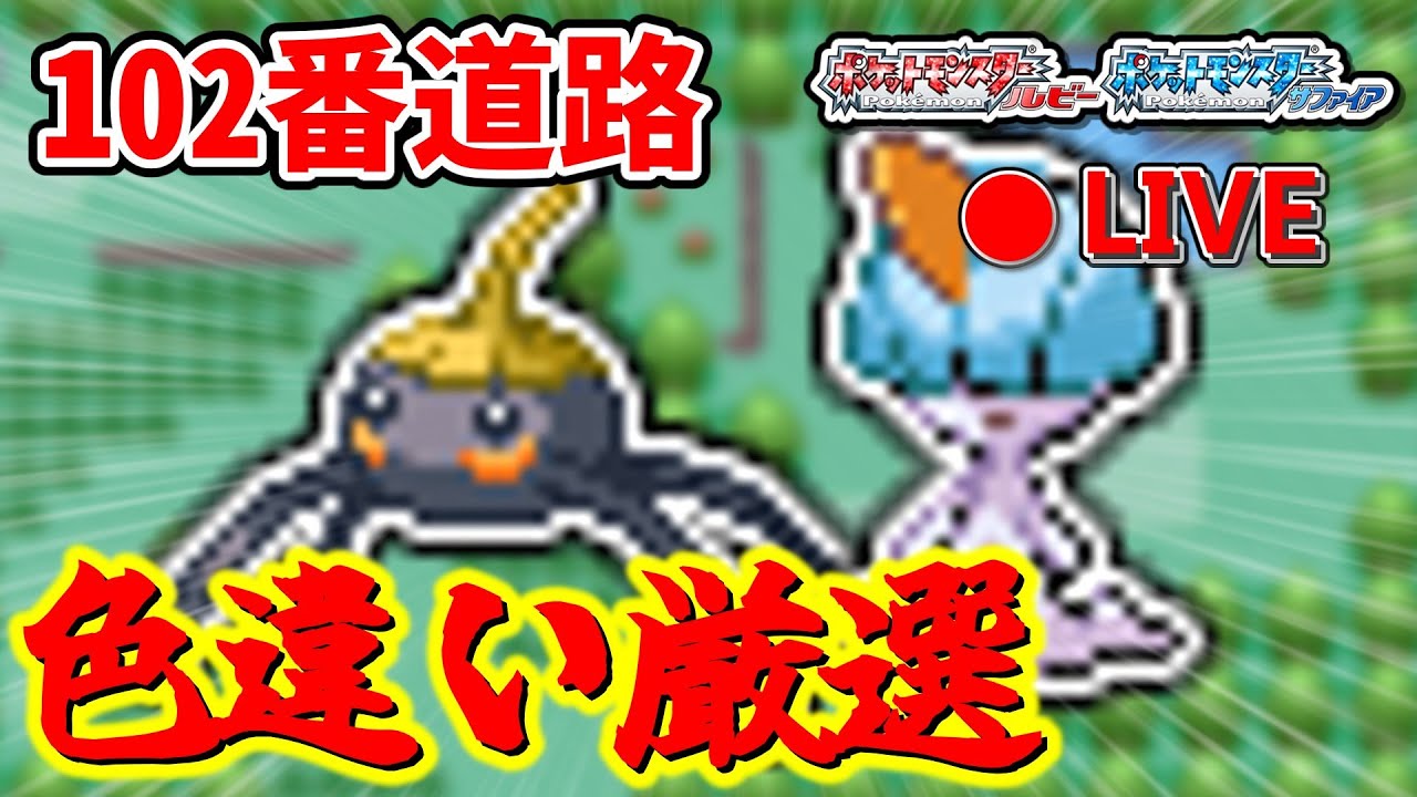 【実況】102番道路で色違い厳選をする（19万6000匹～）