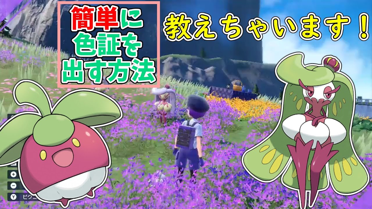 【ゆっくり実況】アマージョ（アマカジ）の簡単な色証厳選方法を教えちゃいます！【ポケモンSV】