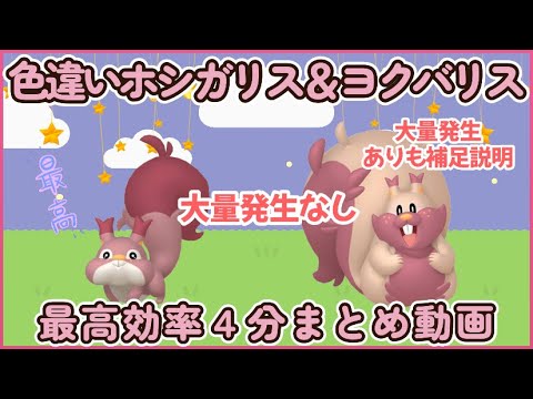 【4分動画】色違いホシガリス＆ヨクバリス最高効率大量発生ありなし簡単説明#ポケモンsv #最高効率 #色違い #ホシガリス #ヨクバリス #大量発生なし #あり