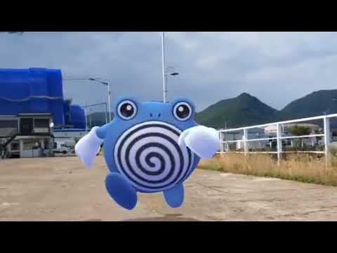 슈륙챙이 ( Poliwhirl ) ニョロゾ ( 蚊香君 ) (16:9)