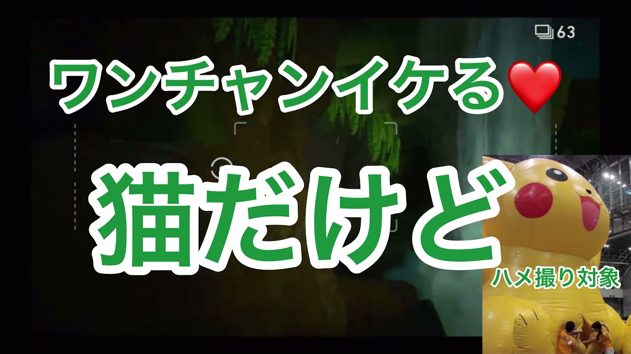 レパルダスでイク❤️[ポケモンスナップ]part5