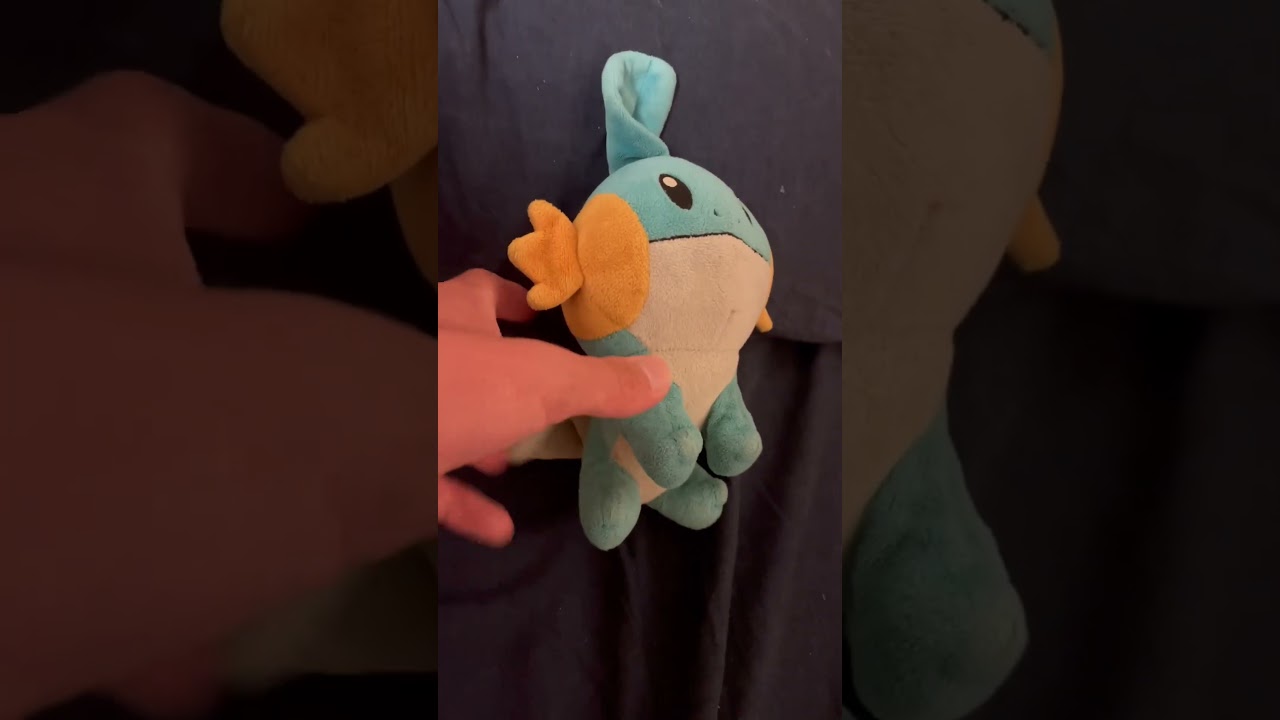ミズゴロウの起床#shorts #ミズゴロウ