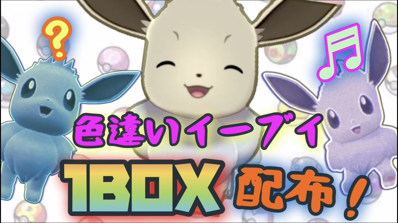 「色違い配布！ポケモンSV」ひとしらとかごきげんな証持ちもいる色違いイーブイ1BOX配布！ラストワンもあるよ～
