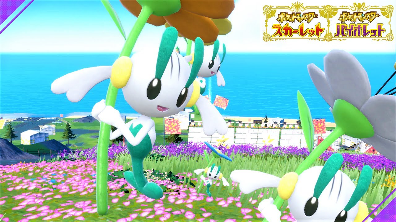 【可愛い】フラエッテ６匹に囲まれて癒されピクニック【ポケモンSV】