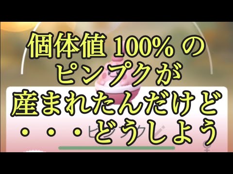 【ポケモンGO】個体値100%のピンプクが産まれたんだけど・・・どうしよう #shorts