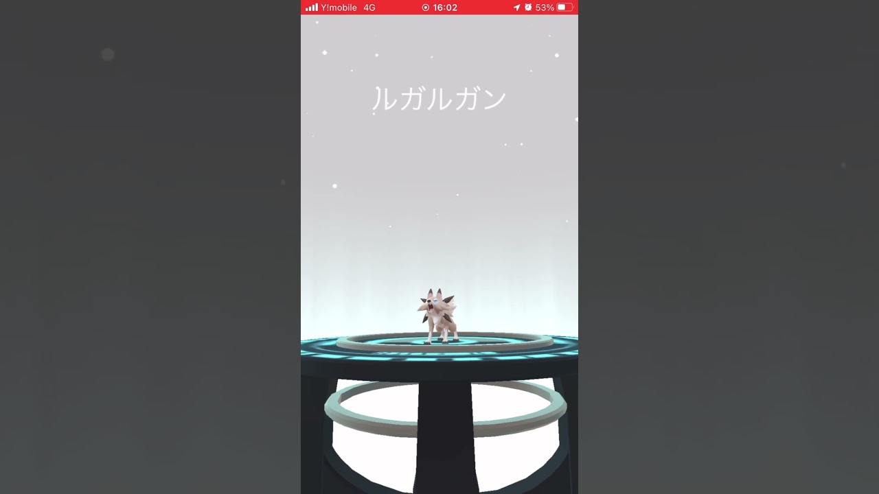 ポケモンGO イワンコ　進化ルガルガン　Pokémon GO
