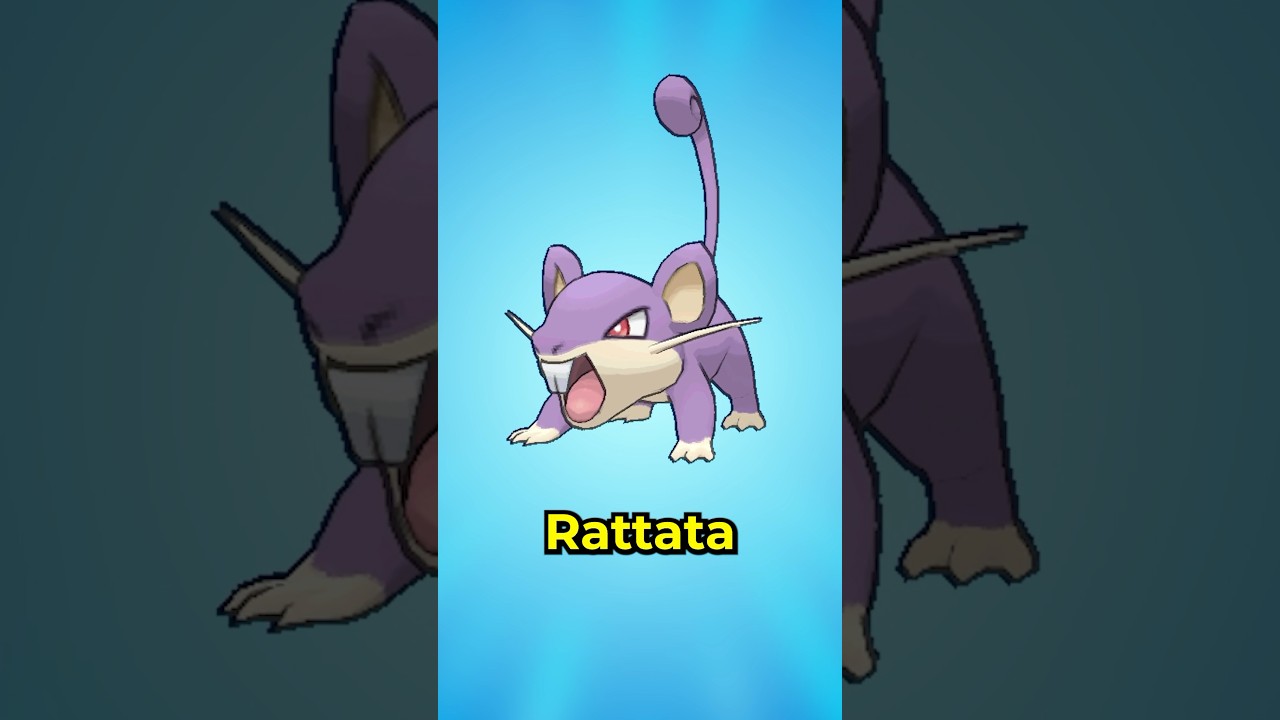 Unusual Random Facts About Rattata Pokémon You Probably Didn’t Know