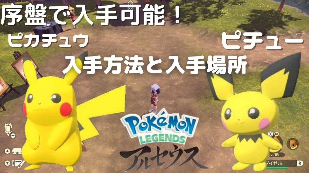 [レジェンズアルセウス] 攻略　序盤でピカチュウとピチューが捕まえられる！　ピカチュウとピチューの入手方法、入手場所