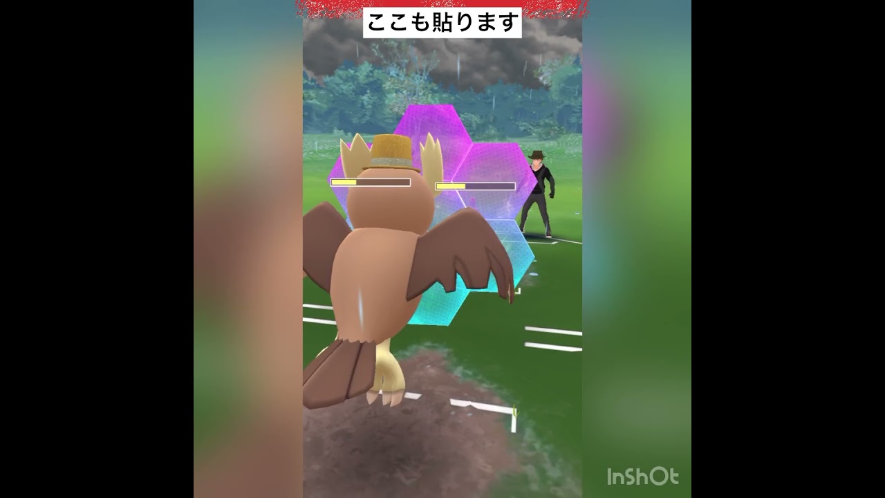 エルフーン使ってみた‼️