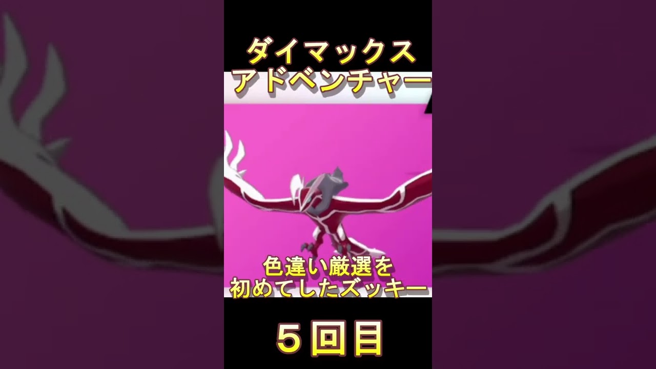 ダイマックスアドベンチャー〇回で色違いイベルタルを出す厳選王ズッキーｗ