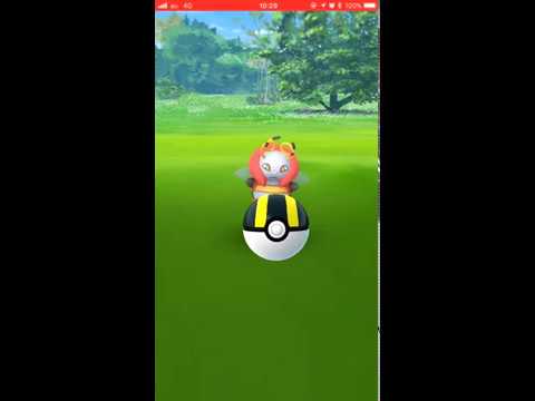 【Pokémon GO Excellent Throw】313 バルビート (Volbeat)