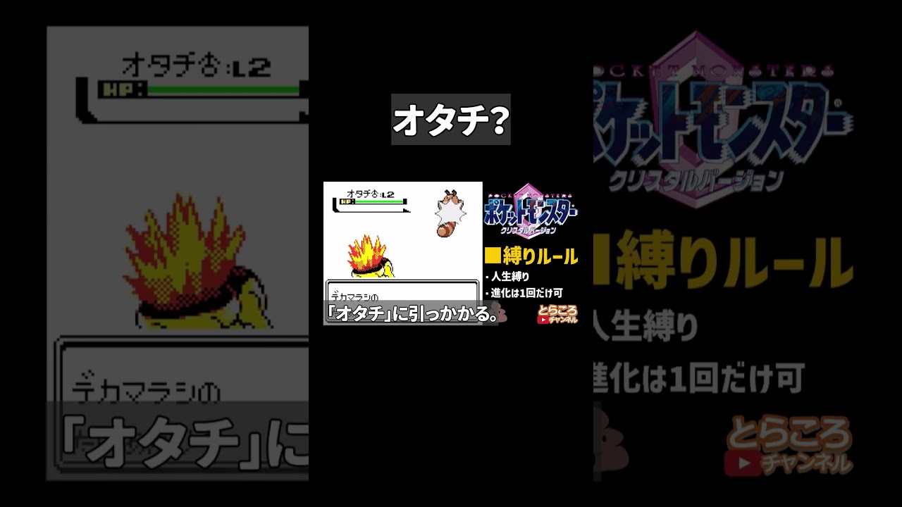 オタチ？【ポケモンクリスタル/金銀】