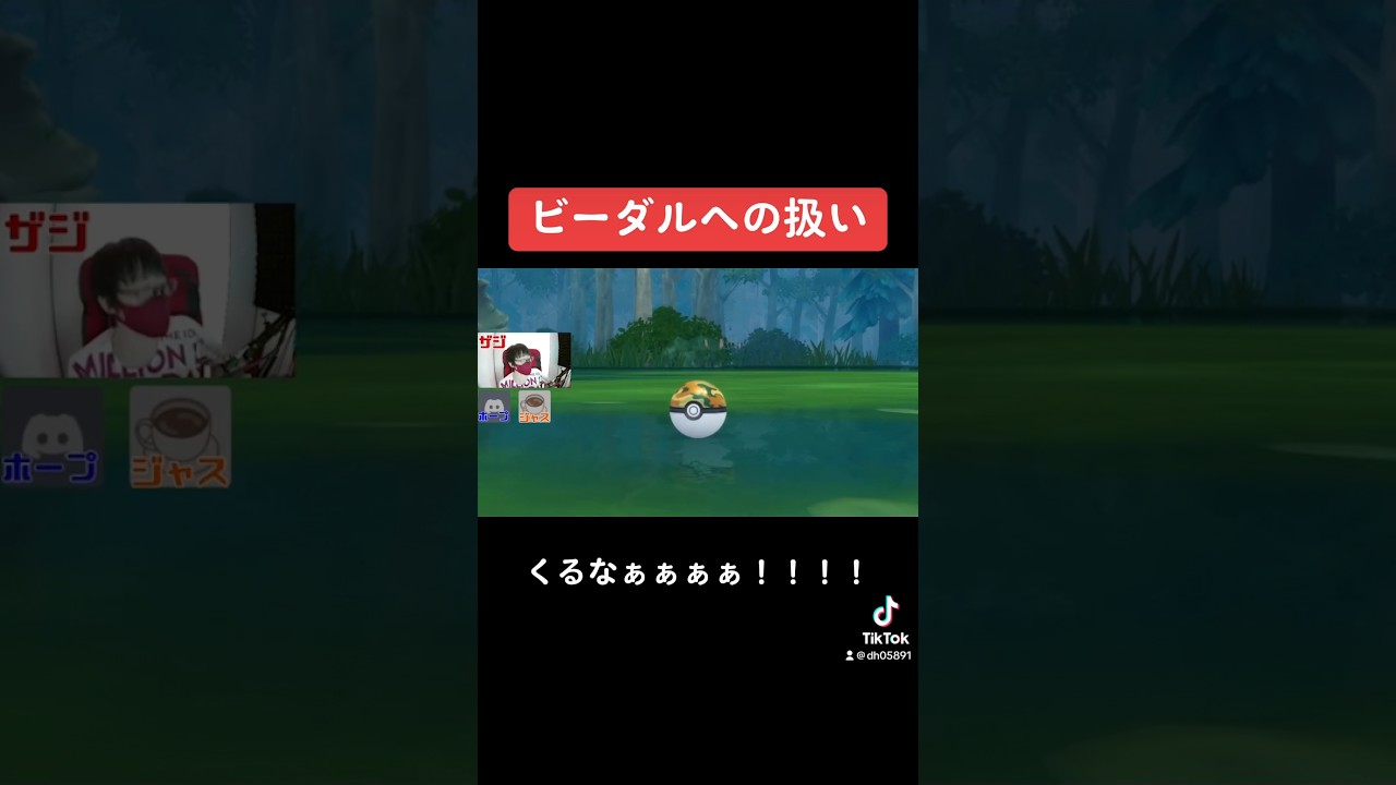 【ポケモンダイパリメイク】ビーダルの扱い....