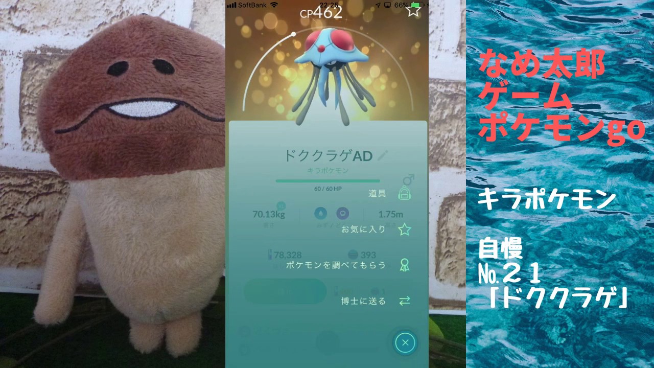 【ポケモンgo】なめ太郎のキラポケモン自慢コーナーナンバー２１、「ドククラゲ」