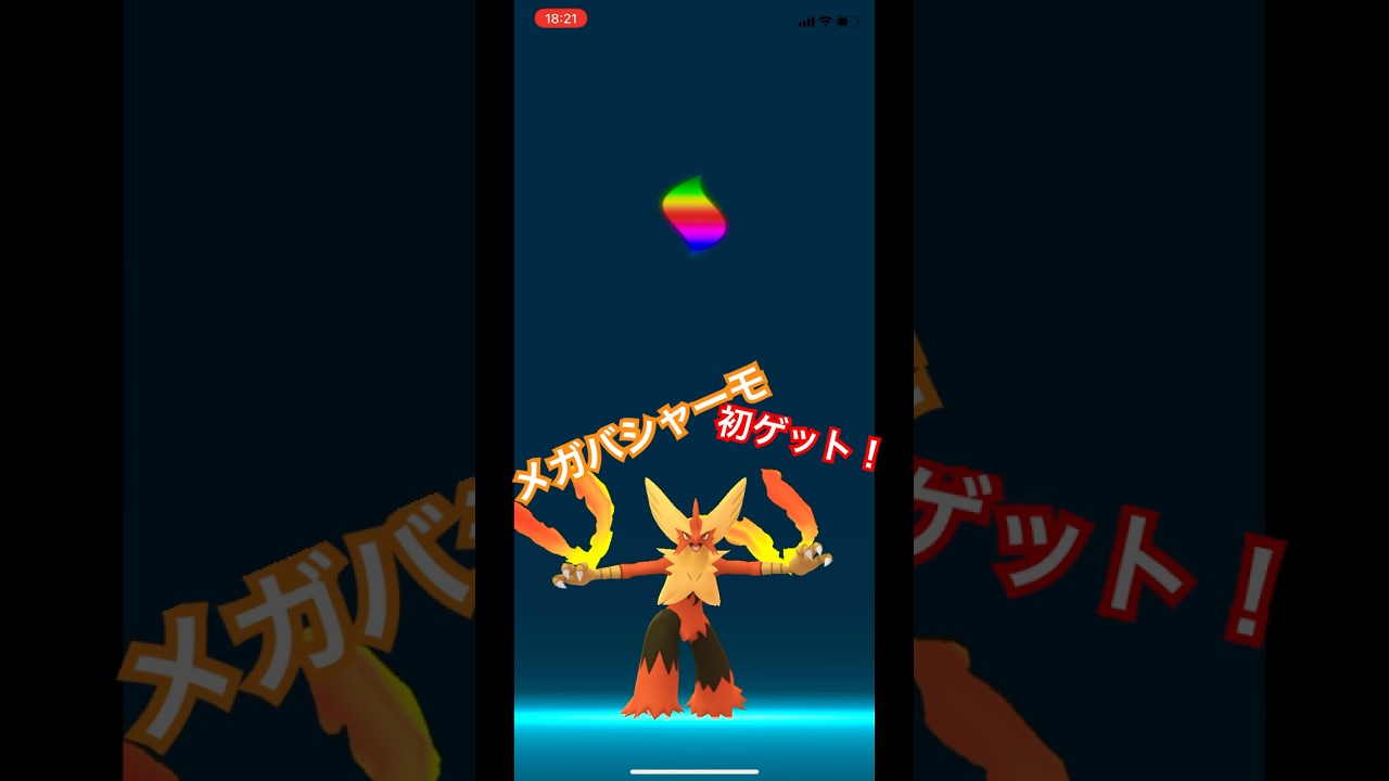 念願のメガバシャーモ...！ #shorts #short #ポケgo #ポケモン #ポケモンgo #pokemon #色違い #ポケモンgo色違い