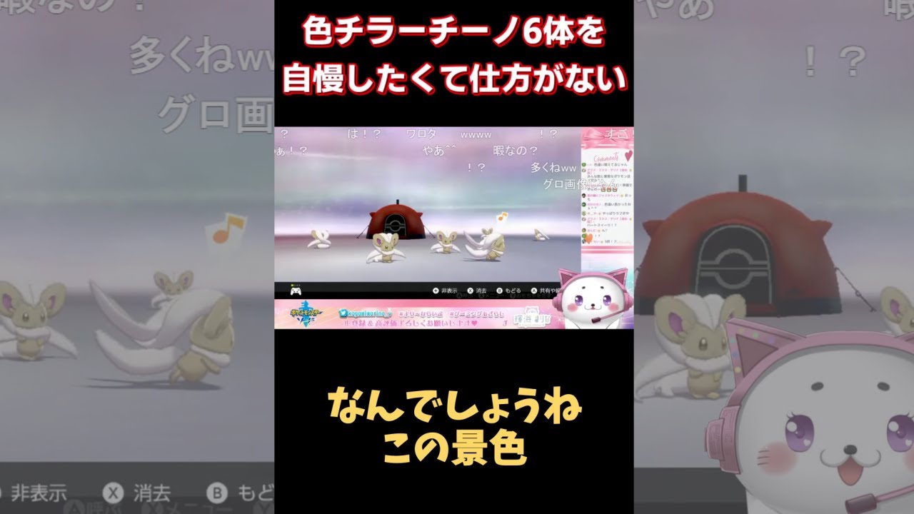 色違いチラチーノ6体を自慢したくて仕方がない輝海まりな【2021/9/6】 #Shorts
